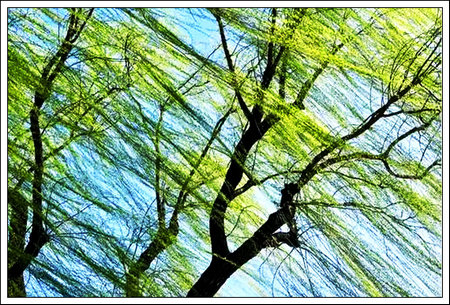 新建图片.jpg 新建图片.jpg