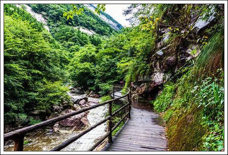 【七绝】皖西白马大峡谷