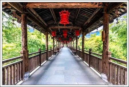 黄金桥.jpg