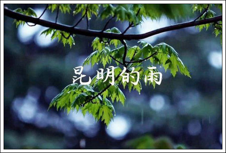 【七律】读汪曾祺《昆明的雨》